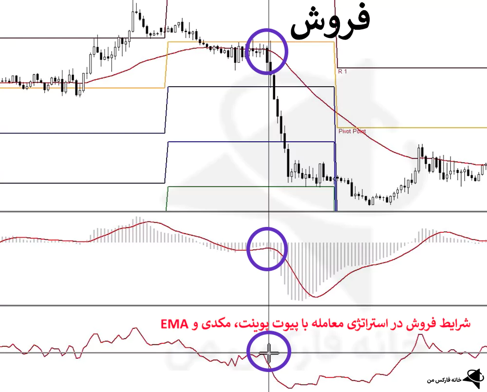 استراتژی معامله با پیوت پوینت، استراتژی با پیوت پوینت، استراتژی با مکدی