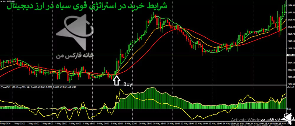 استراتژی قوی سیاه، استراتژی ارز دیجیتال، استراتژی معاملاتی ارز دیجیتال