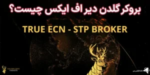 💯بروکر گلدن دیر اف ایکس (Golden Deer FX) چیست؟🙎‍♂️