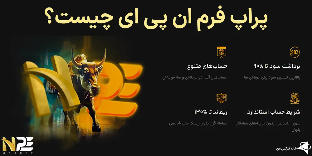 📕پراپ فرم ان پی ای (npe) چیست؟✴️